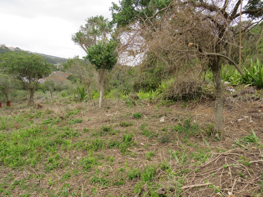 0 Bedroom Property for Sale in West Bank Eastern Cape